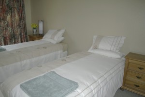 Twin Room Deloraine Accommodation